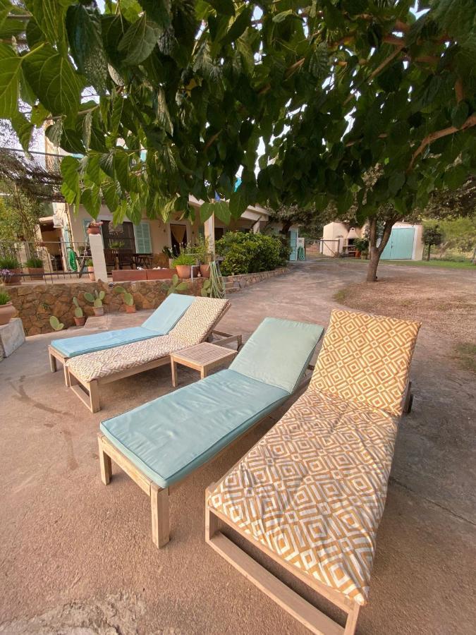 Ses Alzines Apartamento Integrado En Casa Rural Habitada Llucmajor  Ngoại thất bức ảnh